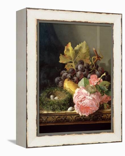 Still Life, Roses, Fruit and Bird's Nest-Edward Ladell-Framed Premier Image Canvas