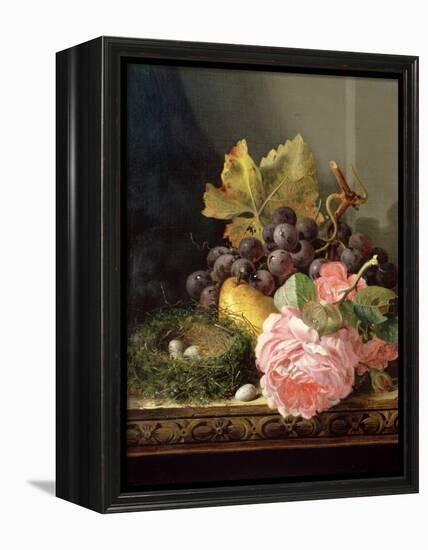 Still Life, Roses, Fruit and Bird's Nest-Edward Ladell-Framed Premier Image Canvas