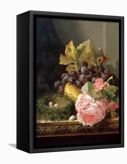 Still Life, Roses, Fruit and Bird's Nest-Edward Ladell-Framed Premier Image Canvas