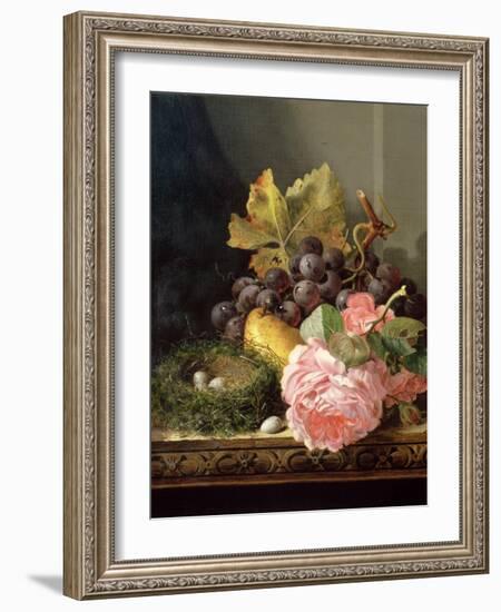 Still Life, Roses, Fruit and Bird's Nest-Edward Ladell-Framed Giclee Print