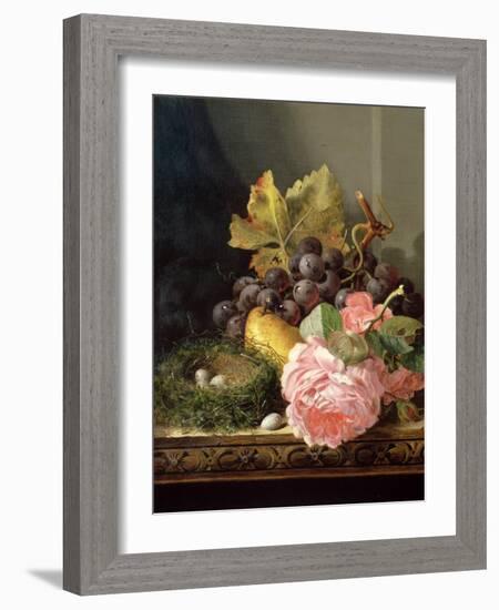 Still Life, Roses, Fruit and Bird's Nest-Edward Ladell-Framed Giclee Print