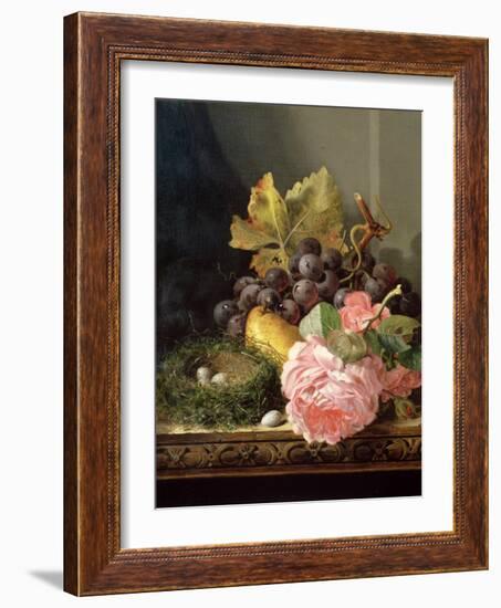 Still Life, Roses, Fruit and Bird's Nest-Edward Ladell-Framed Giclee Print