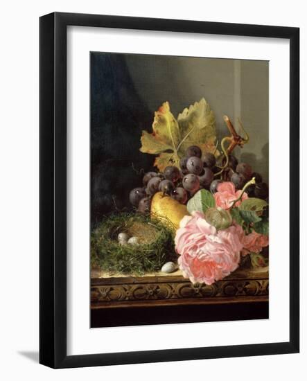 Still Life, Roses, Fruit and Bird's Nest-Edward Ladell-Framed Giclee Print