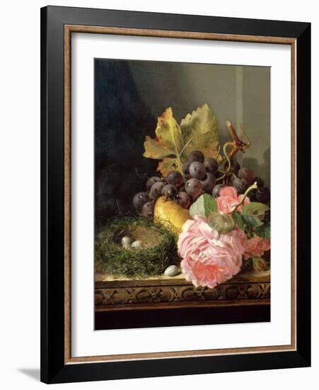 Still Life, Roses, Fruit and Bird's Nest-Edward Ladell-Framed Giclee Print