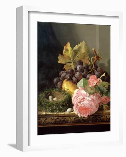 Still Life, Roses, Fruit and Bird's Nest-Edward Ladell-Framed Giclee Print