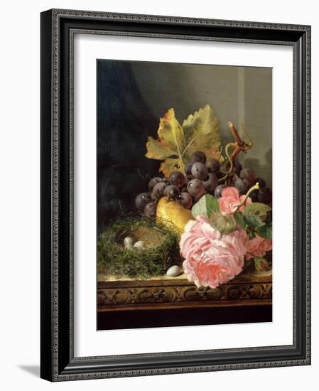 Still Life, Roses, Fruit and Bird's Nest-Edward Ladell-Framed Giclee Print