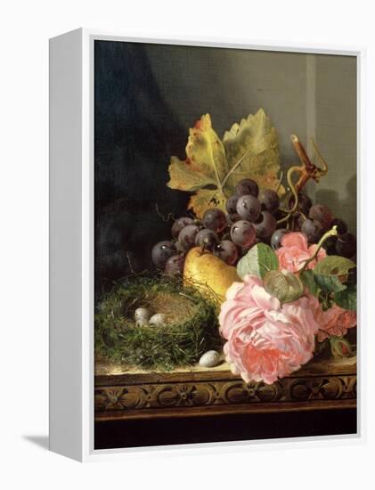 Still Life, Roses, Fruit and Bird's Nest-Edward Ladell-Framed Premier Image Canvas