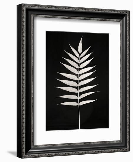 Still Life, Study #1-Andrew Ren-Framed Art Print