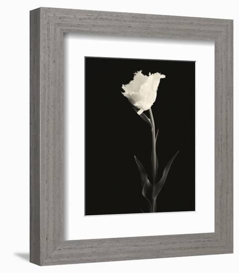 Still Life, Study #5-Andrew Ren-Framed Art Print