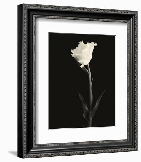 Still Life, Study #5-Andrew Ren-Framed Art Print