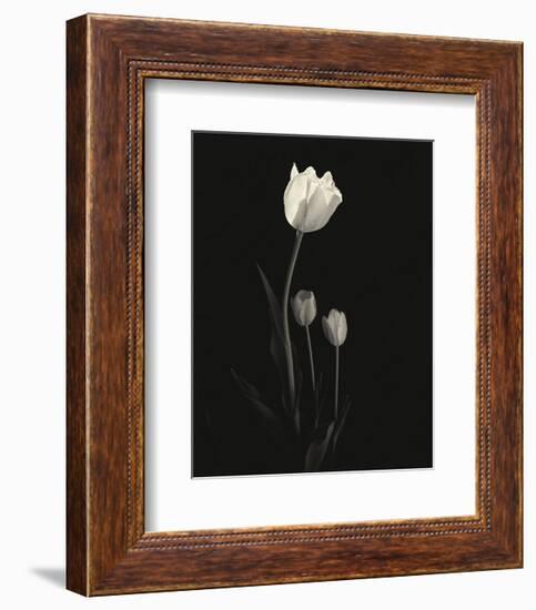 Still Life, Study #6-Andrew Ren-Framed Art Print