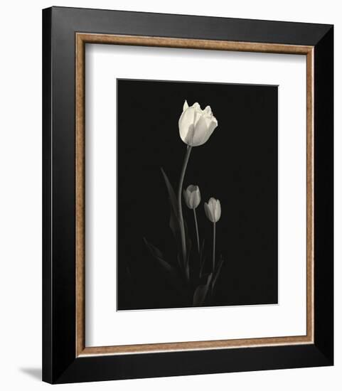 Still Life, Study #6-Andrew Ren-Framed Art Print