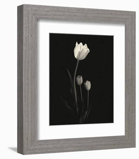 Still Life, Study #6-Andrew Ren-Framed Art Print