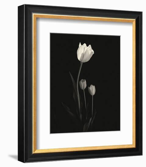 Still Life, Study #6-Andrew Ren-Framed Art Print