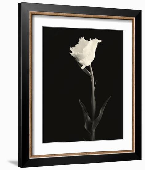 Still Life, Study, no. 5-Andrew Ren-Framed Giclee Print