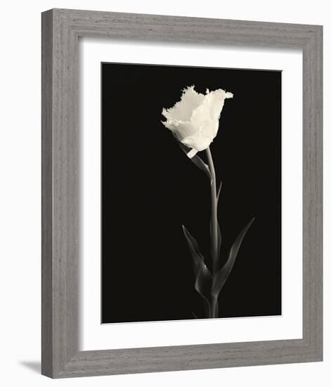 Still Life, Study, no. 5-Andrew Ren-Framed Giclee Print