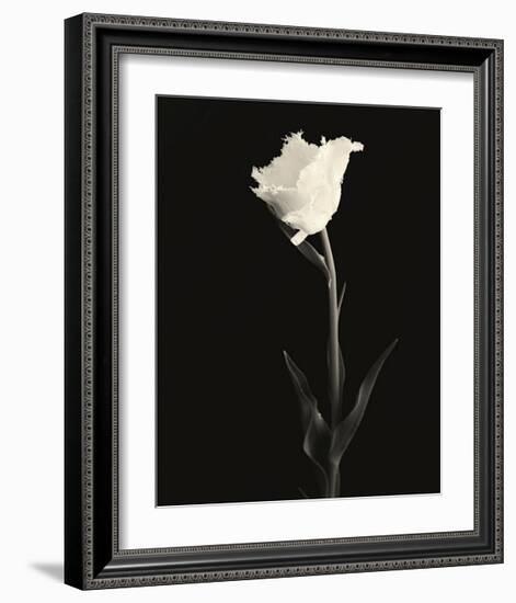 Still Life, Study, no. 5-Andrew Ren-Framed Giclee Print