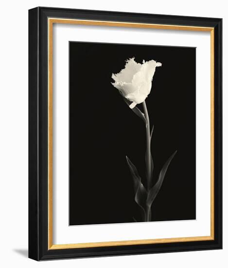 Still Life, Study, no. 5-Andrew Ren-Framed Giclee Print