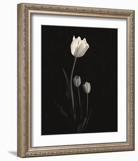 Still Life, Study, no. 6-Andrew Ren-Framed Giclee Print