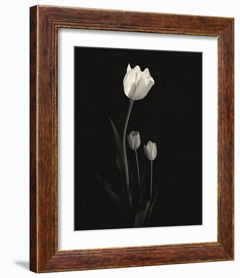 Still Life, Study, no. 6-Andrew Ren-Framed Giclee Print