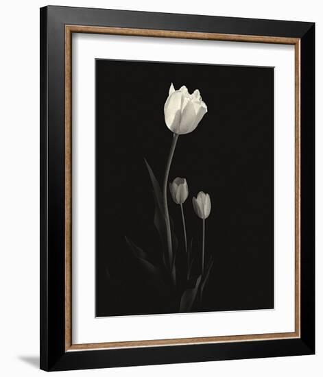 Still Life, Study, no. 6-Andrew Ren-Framed Giclee Print