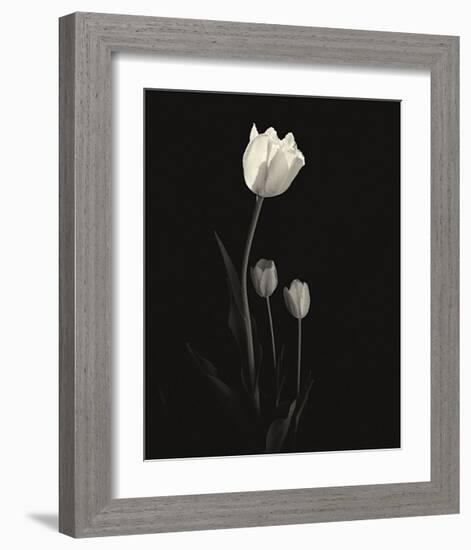 Still Life, Study, no. 6-Andrew Ren-Framed Giclee Print