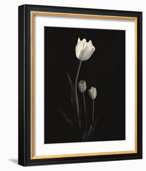 Still Life, Study, no. 6-Andrew Ren-Framed Giclee Print