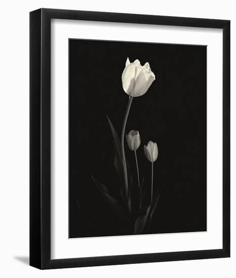 Still Life, Study, no. 6-Andrew Ren-Framed Giclee Print