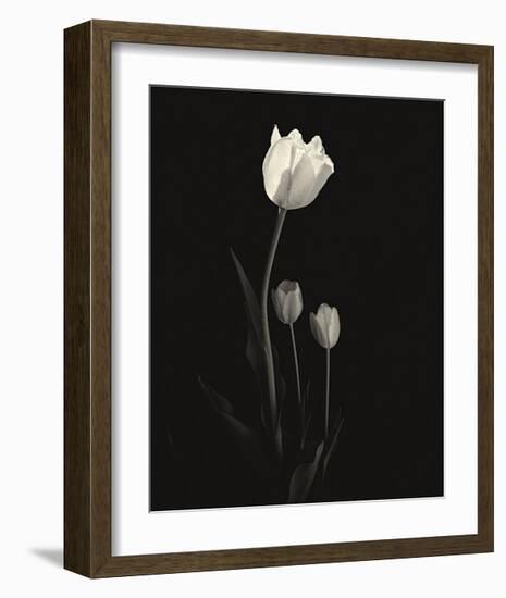 Still Life, Study, no. 6-Andrew Ren-Framed Giclee Print