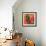 Still Life Table with Roses and Fruit-Peter Graham-Framed Giclee Print displayed on a wall