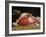 Still Life, the Joint of Meat, 1864-Claude Monet-Framed Giclee Print