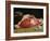 Still Life, the Joint of Meat, 1864-Claude Monet-Framed Giclee Print