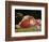 Still Life, the Joint of Meat, 1864-Claude Monet-Framed Giclee Print