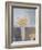 Still Life, Urban Yard-Stephen Dinsmore-Framed Giclee Print