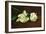 Still Life, White Peony-Edouard Manet-Framed Art Print