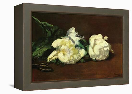 Still Life, White Peony-Edouard Manet-Framed Stretched Canvas