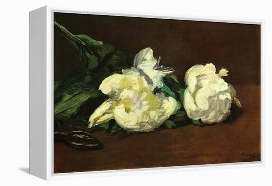 Still Life, White Peony-Edouard Manet-Framed Stretched Canvas