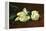 Still Life, White Peony-Edouard Manet-Framed Stretched Canvas