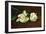 Still Life, White Peony-Edouard Manet-Framed Art Print