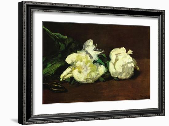 Still Life, White Peony-Edouard Manet-Framed Art Print