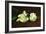 Still Life, White Peony-Edouard Manet-Framed Art Print