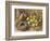 Still Life with a Bird's Nest and Primroses on a Mossy Bank-Wiliam B. Hough-Framed Giclee Print