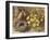 Still Life with a Bird's Nest and Primroses on a Mossy Bank-Wiliam B. Hough-Framed Giclee Print