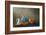 Still Life with a Pumpkin-null-Framed Art Print