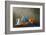 Still Life with a Pumpkin-null-Framed Art Print