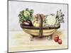 Still Life with a Trug of Vegetables, 1996-Alison Cooper-Mounted Giclee Print