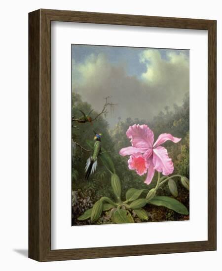 Still Life with an Orchid and a Pair of Hummingbirds, C.1890S-Martin Johnson Heade-Framed Giclee Print