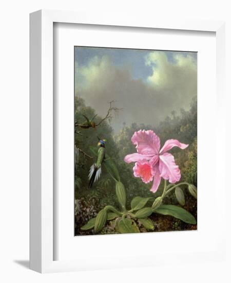 Still Life with an Orchid and a Pair of Hummingbirds, C.1890S-Martin Johnson Heade-Framed Giclee Print