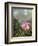 Still Life with an Orchid and a Pair of Hummingbirds, C.1890S-Martin Johnson Heade-Framed Giclee Print