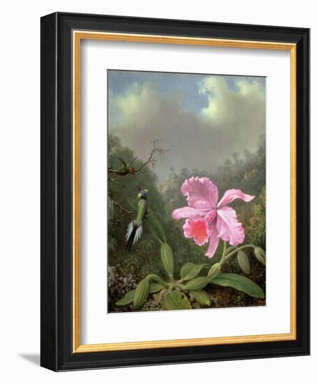 Still Life with an Orchid and a Pair of Hummingbirds, C.1890S-Martin Johnson Heade-Framed Giclee Print